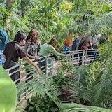Krohn Conservatory