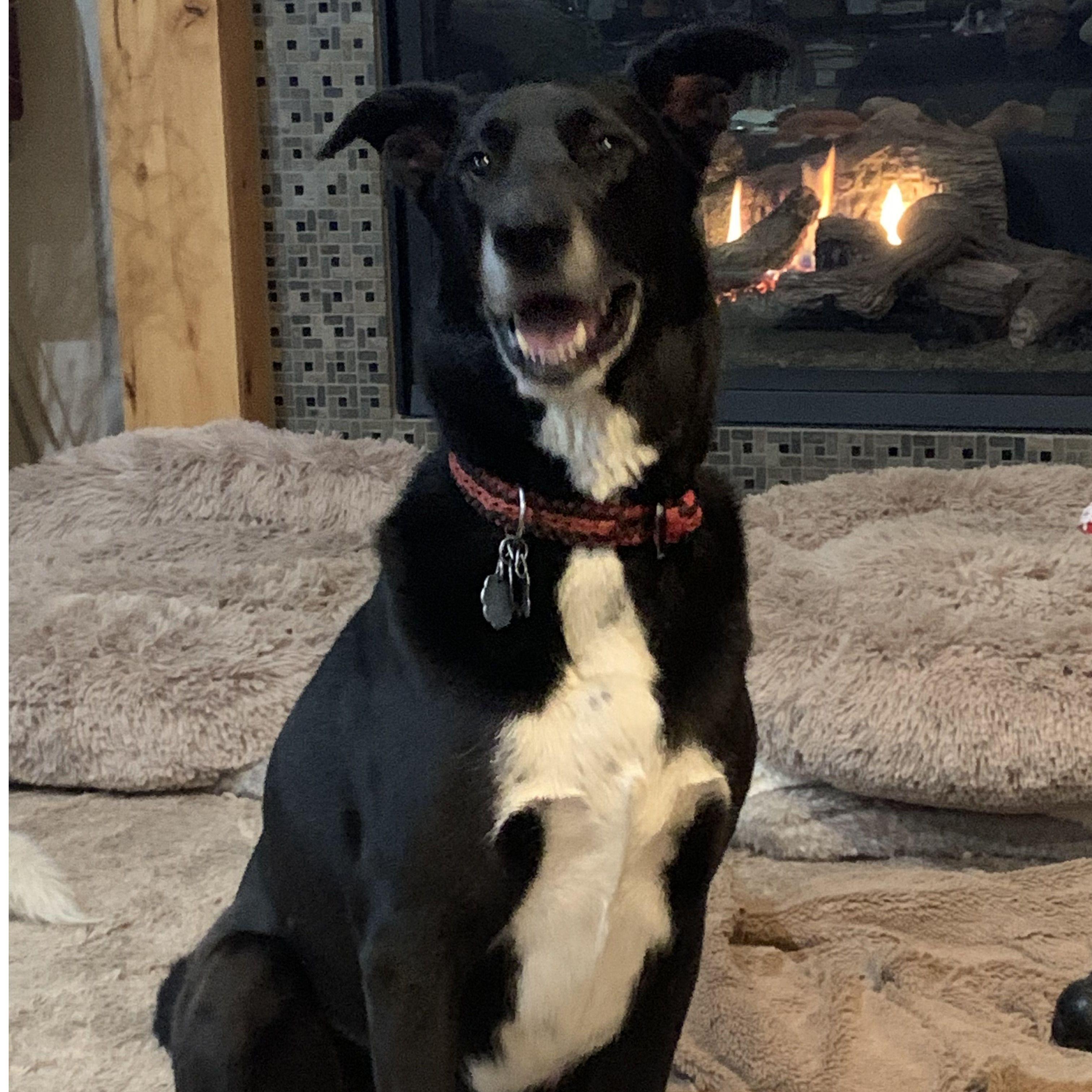 Michiko. AKA "Chiki Squeaky"