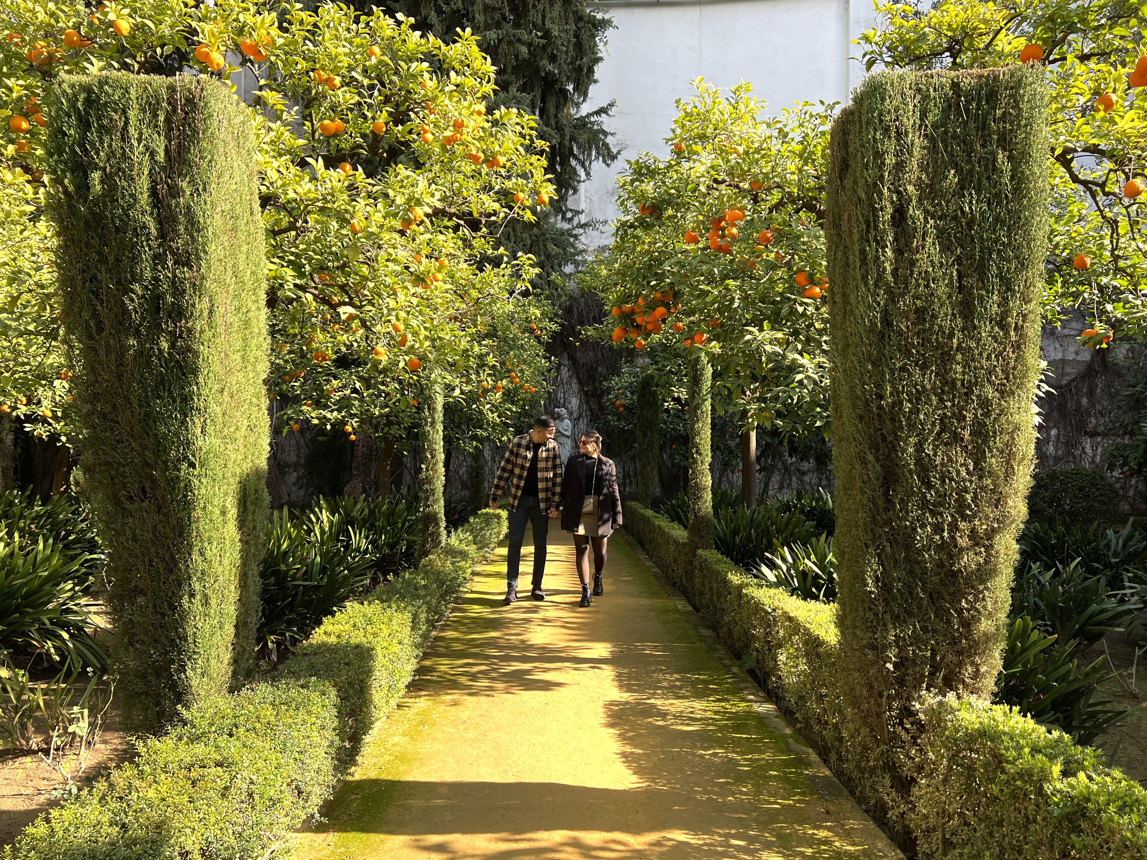 The Wedding Website of Maria Alejandra Varela and Alexander Rodriguez