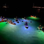 Sharkey's Glass Bottom Tours