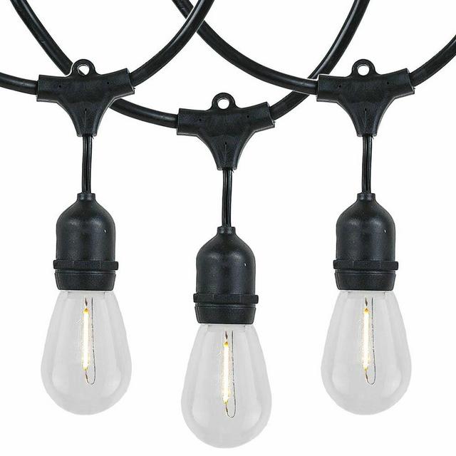 Docia 48' Outdoor 24 - Bulb Standard String Light
