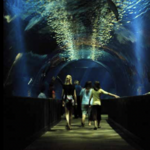Oklahoma Aquarium