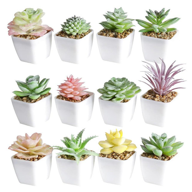 Tiita Artificial Faux Succulents in Pots Fake Plants Ceramic Arrangement Planter Small Mini Tiny Decoration for Home Office Desk Window Sill Bathroom Bedroom Outdoor Indoor 12 Set