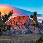 Red Rock Canyon National Conservation Area