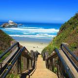 Sand Dollar Beach