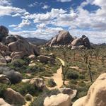 Joshua Tree National Park