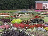 JC Raulston Arboretum