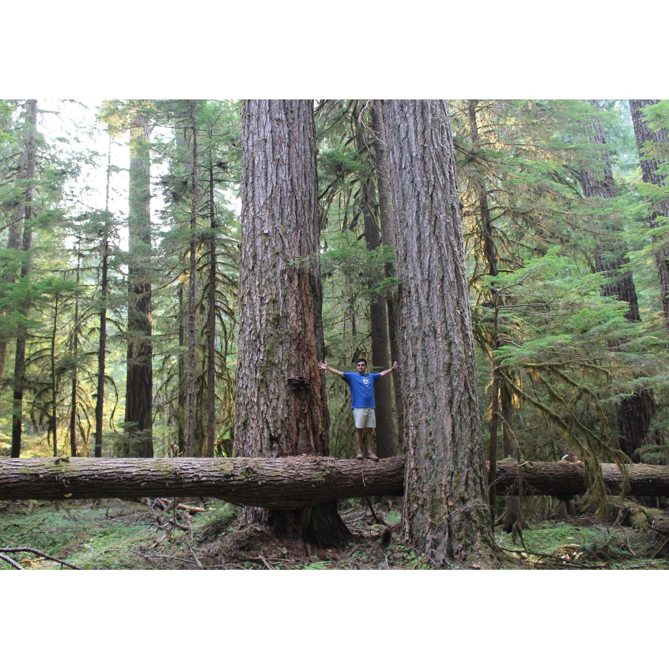 Or first time in Oregon.