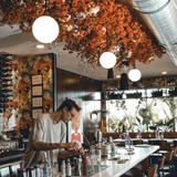 Wild Child Libations