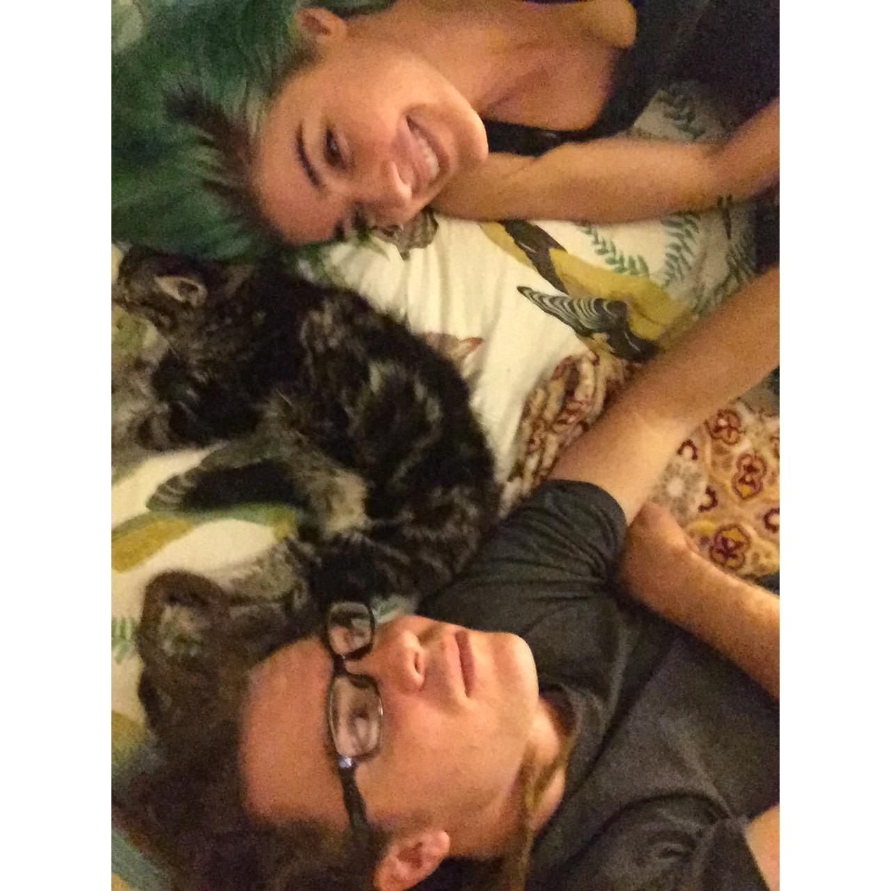 when you accidentally bring home the perfect kitten!