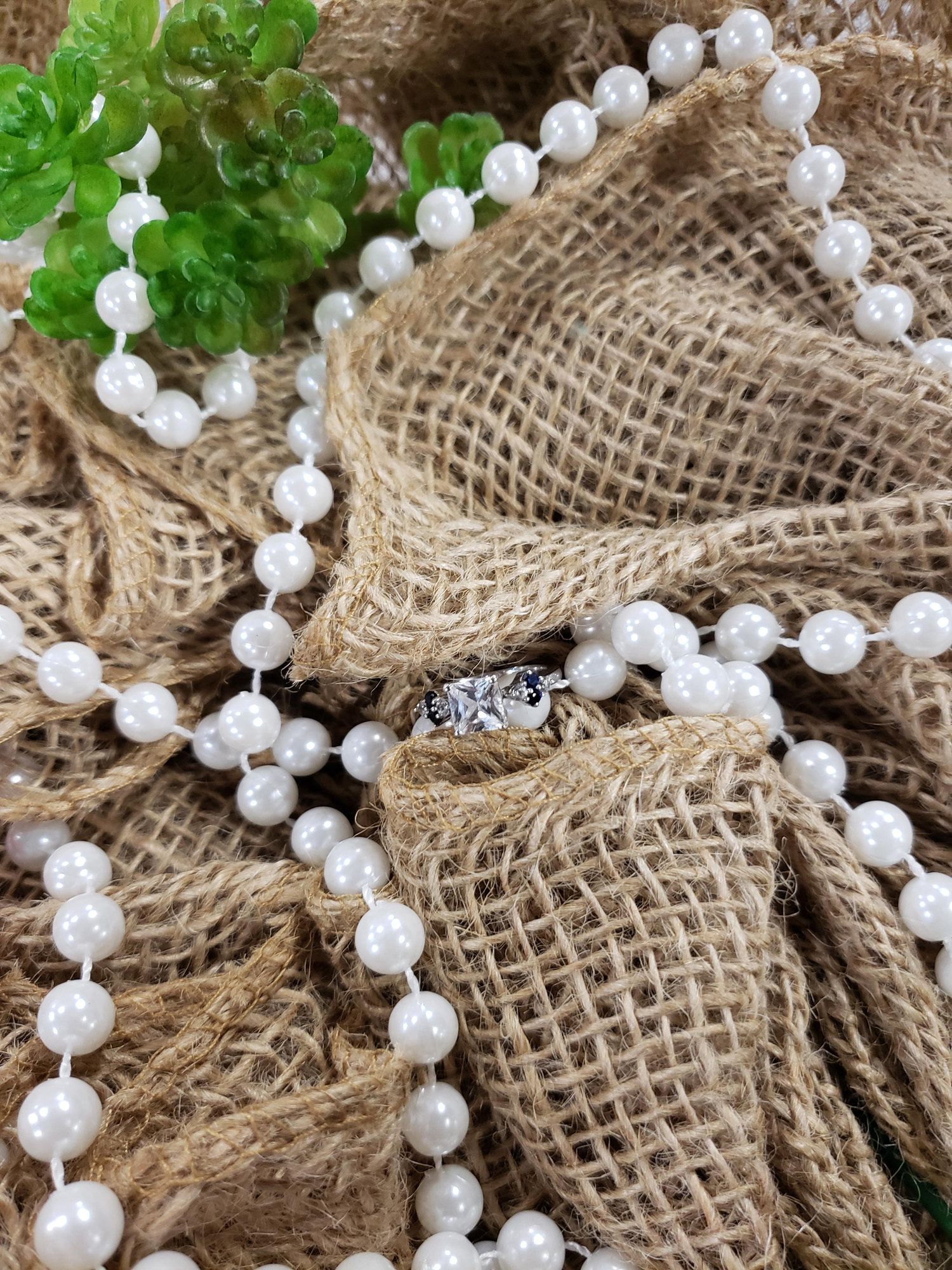 The Wedding Website of Stephanie Mora and Walden Torres