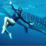 Oslob Whale Shark Watching