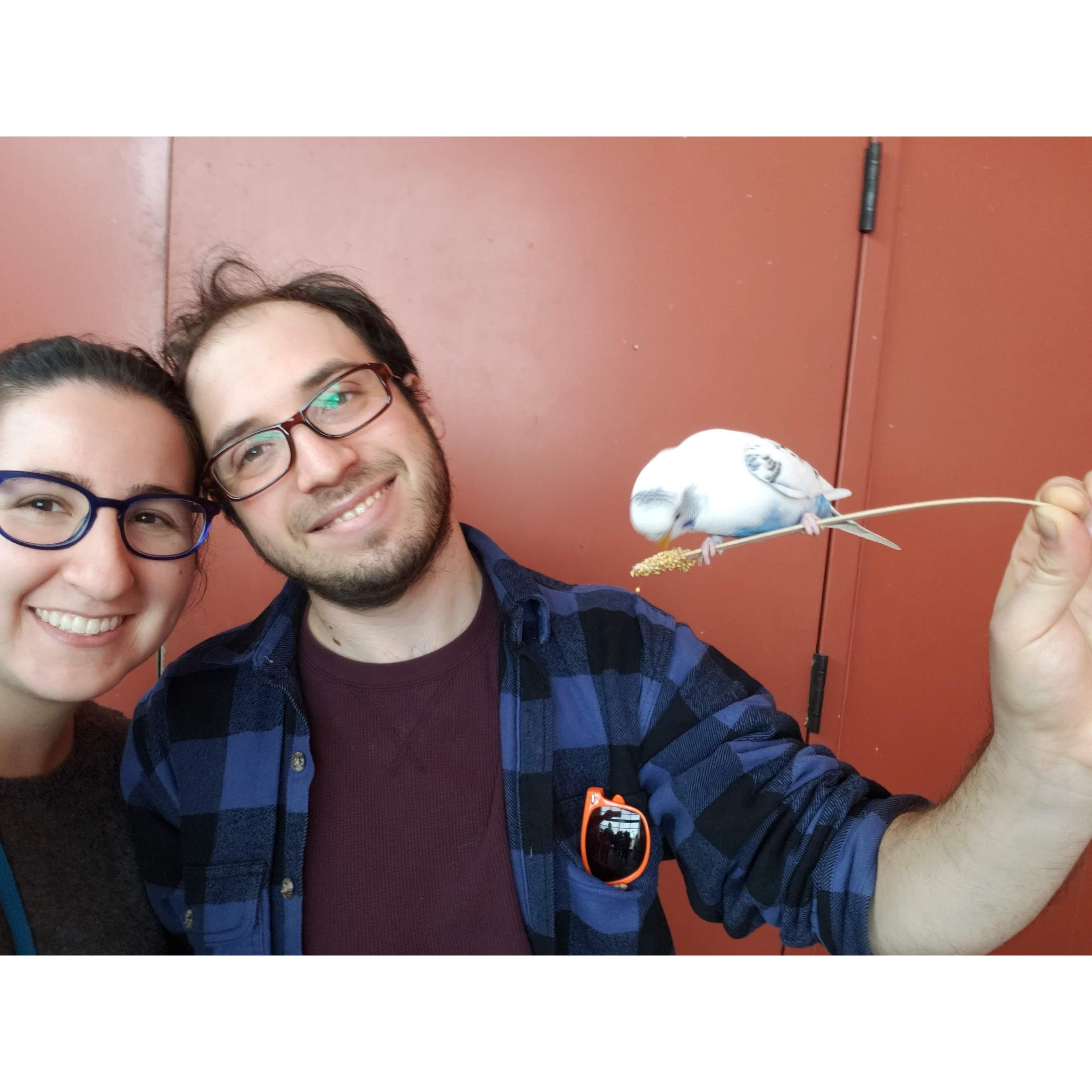 We bribed this budgie to take a picture with us at the Cheyenne Mountain Zoo
