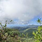 El Yunque National Forest