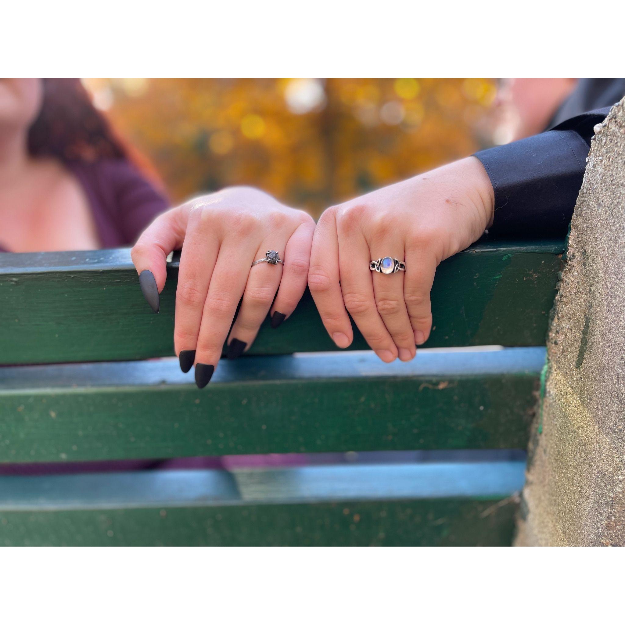 A series of engagement photos taken by Ashley at a spot we stopped on our first date: The Arnold Arboretum.