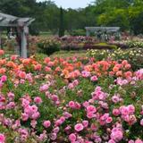 Norfolk Botanical Garden