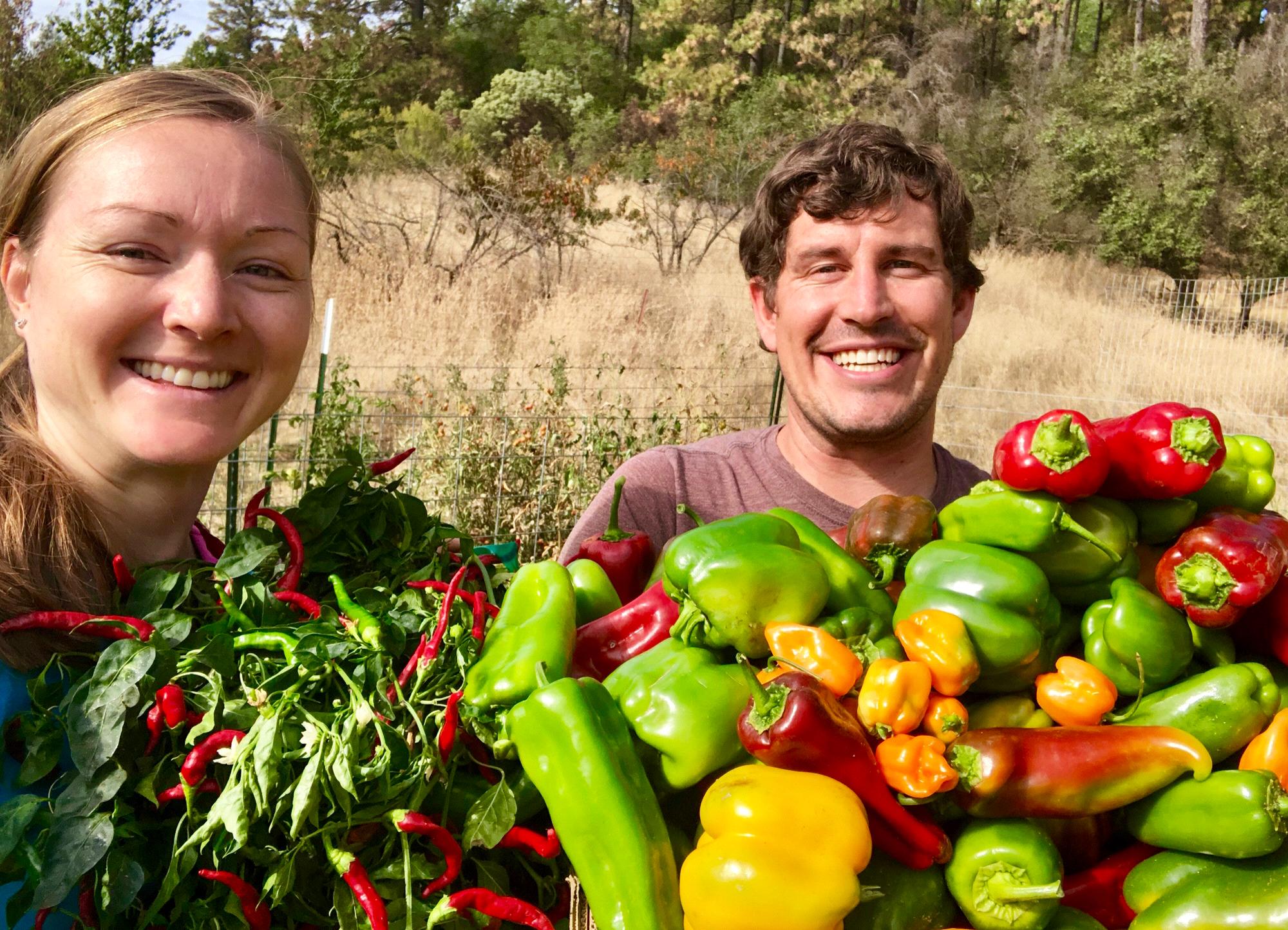 Got Peppers?!?  We planted a few peppers!