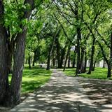 Island Park