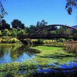 Vasona Lake County Park