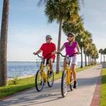 TEAM Punta Gorda