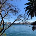 Lower North Shore