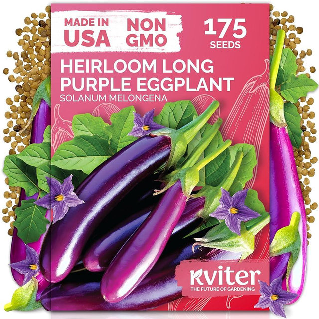 KVITER 175 Long Purple Eggplant Seeds (Solanum melongena) – Asian Eggplant, Dark Purple Italian Egg Plant Seed Packets – Heirloom Vegetable Seeds for Planting Outdoors & Indoor Garden, Containers Beds