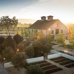 HALL Wines St. Helena