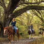 🐎 Horseback Riding - Cactus Jack’s Trail Rides