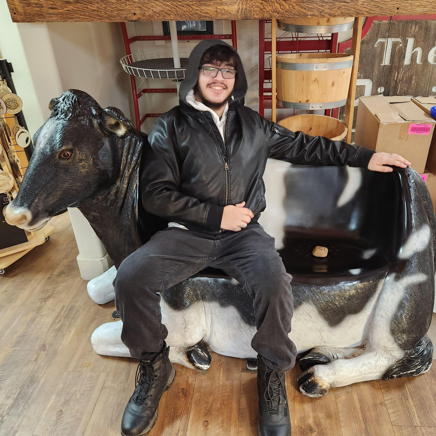 David loved this "Cow-ch"