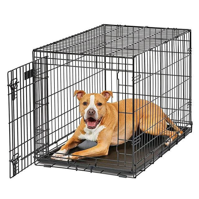 Dog Crate | MidWest Life Stages 36" Folding Metal Dog Crate | Divider Panel, Floor Protecting Feet, Leak-Proof Dog Pan | 36L x 23W x 25H Inches, Intermediate Dog Breed, Black