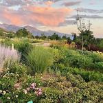 Red Butte Garden & Arboretum