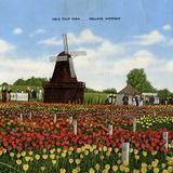 Nelis' Dutch Village