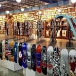 Skateboarding Hall of Fame / Skate U