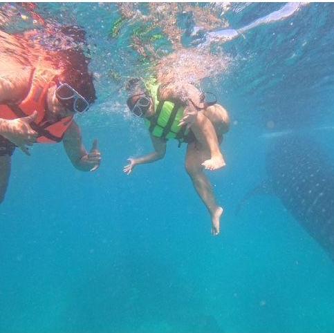 Swimming with whale sharks in Cebu, 12/2023