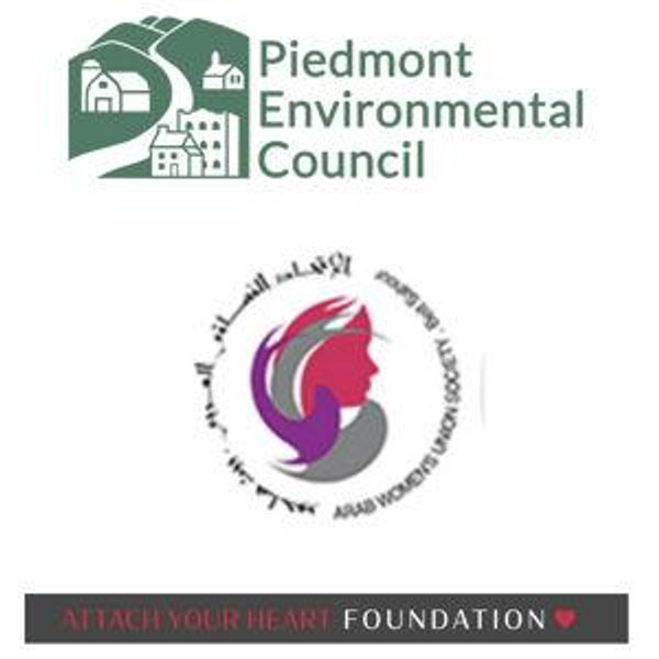 Non-profit Fund