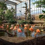 National Aviary