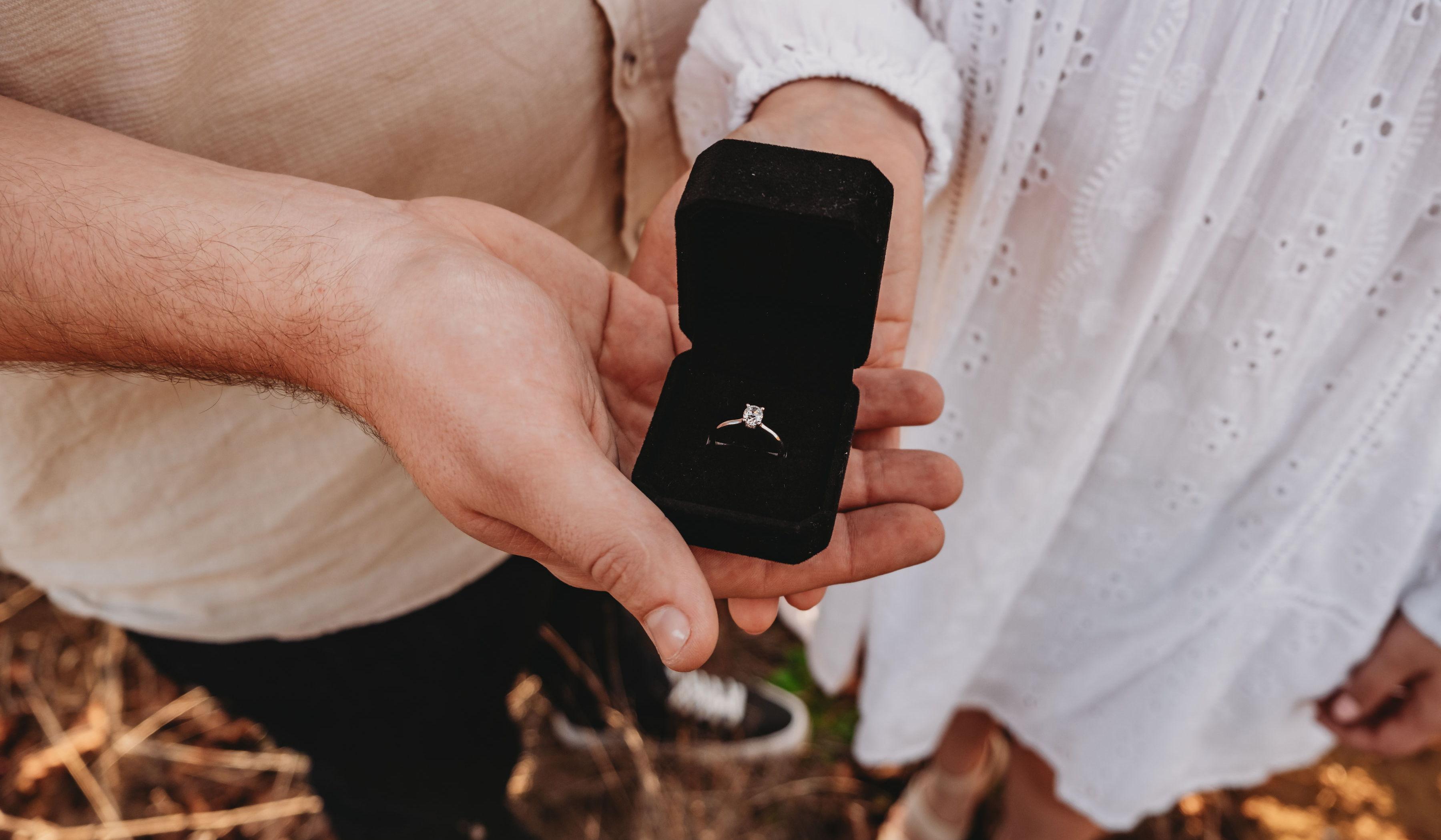 Hero Slideshow Image 2