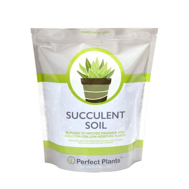 All Natural Succulent and Cactus Soil Mix by Perfect Plants | 4 Quarts for All Succulent Varieties | Formulated for Proper Drainage