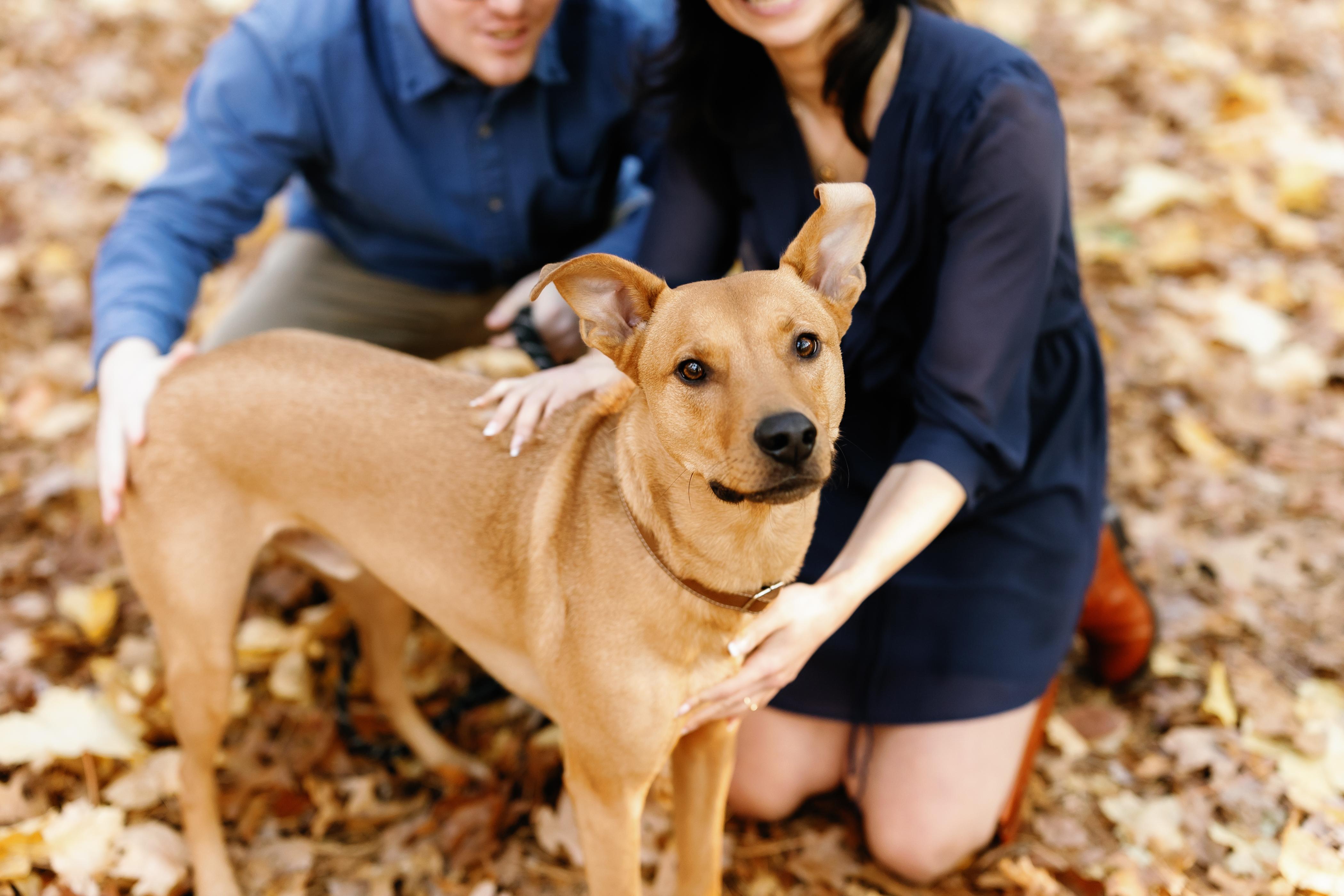 The Wedding Website of Sofia Safran and Graham Turner