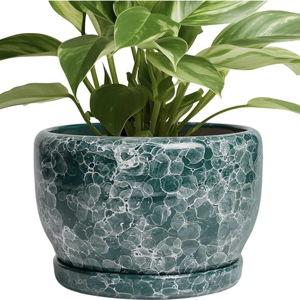 SQOWL 8 Inch Plant Pot - Ceramic Planter for Indoor Plants, Decorative Flower Pot with Drainage Hole and Saucer, Round Planter Outdoor, Room Patio Decor, Garden Gifts for Women, Green