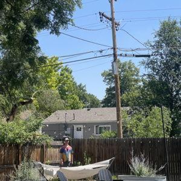 Privacy Trees