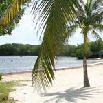 John Pennekamp Coral Reef State Park