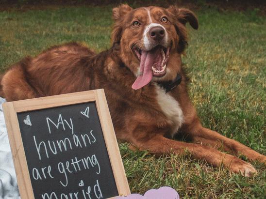 The Wedding Website of Heather LaPan and Hunter Lail