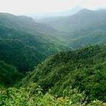 Black River Gorges National Park
