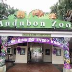 Audubon Zoo