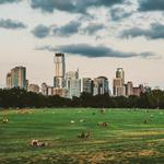 Zilker Park