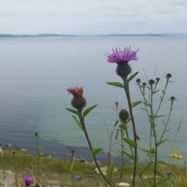 Honeymoon in Ireland, Scotland & England