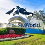 SeaWorld Orlando