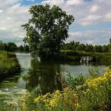 Skokie Lagoons