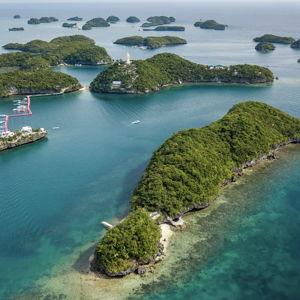 Honeymoon: 1 Roundtrip Flight Airfare